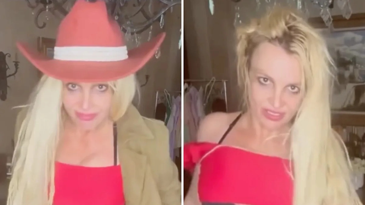 General Instagram App Sources Lack Britney Spears Mentions